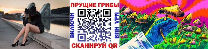 Галлюциногенные грибы Magic Shrooms  Абдулино 